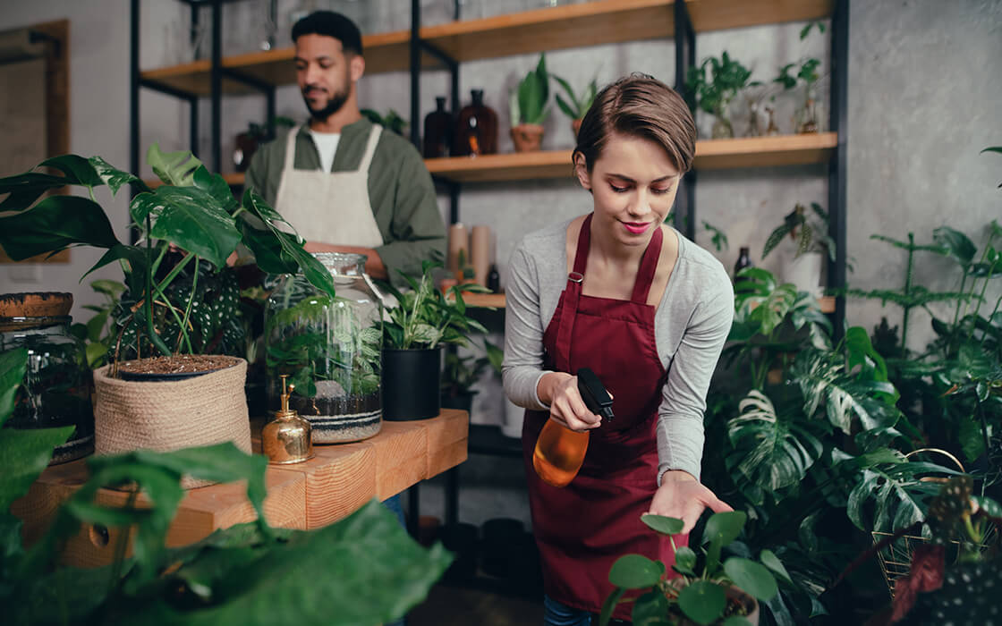 Hydrogen Peroxide for Plants