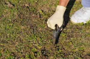 does hydrogen peroxide kill weeds