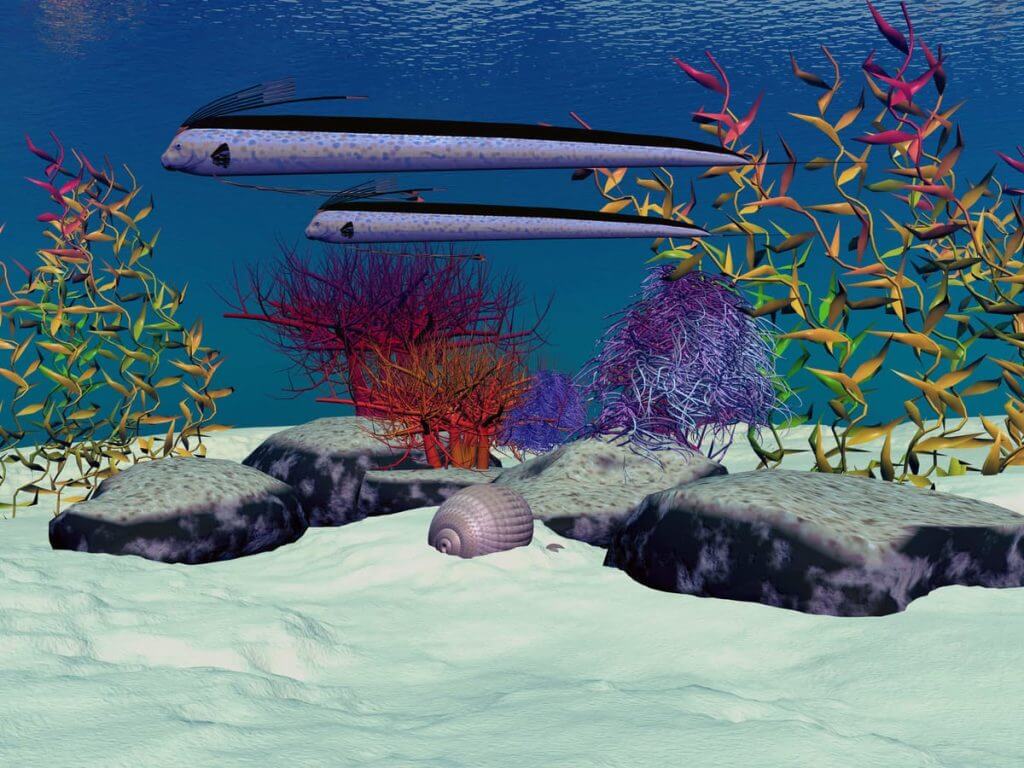 killing aiptasia with hydrogen peroxide