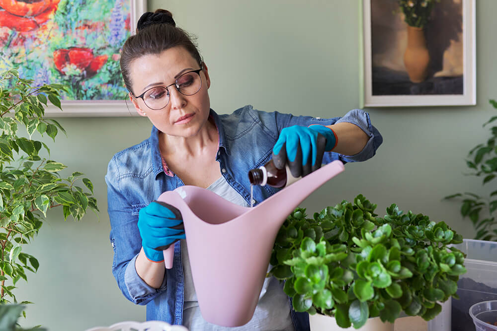 Woman pouring hydrogen peroxide into watering bucket for plants