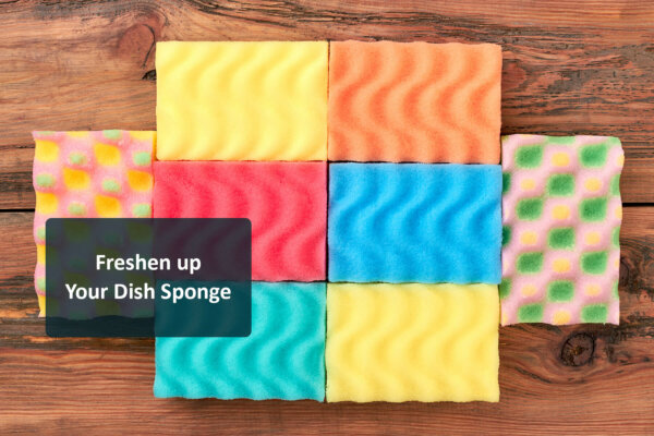 colorful dish sponges