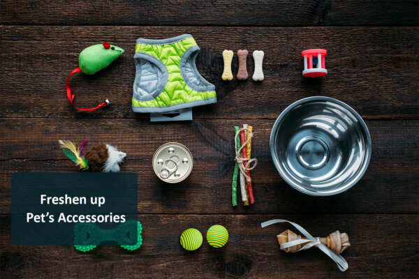 different pet toys and accessories