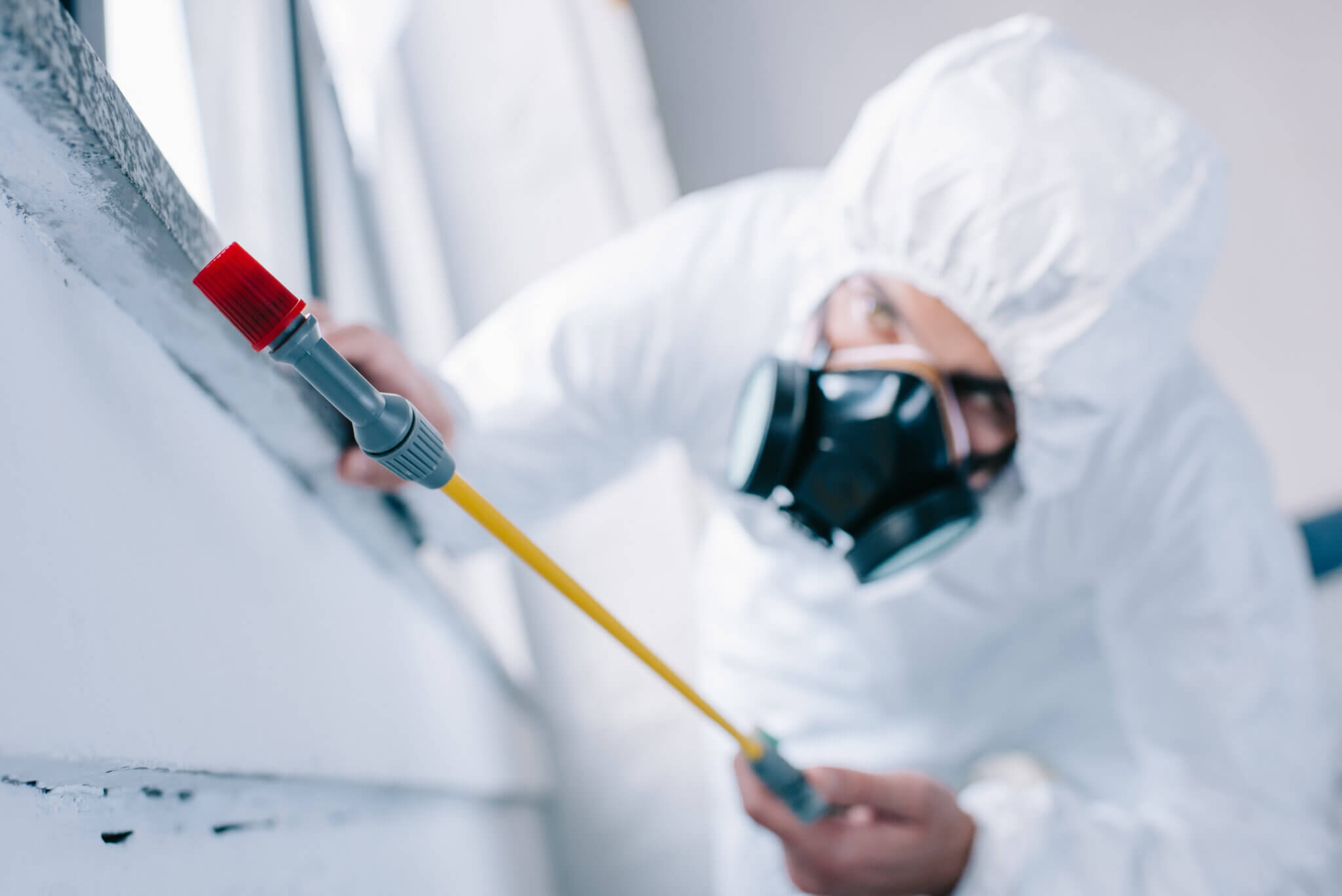 Using Hydrogen Peroxide for Mold Removal Mold and Mildew
