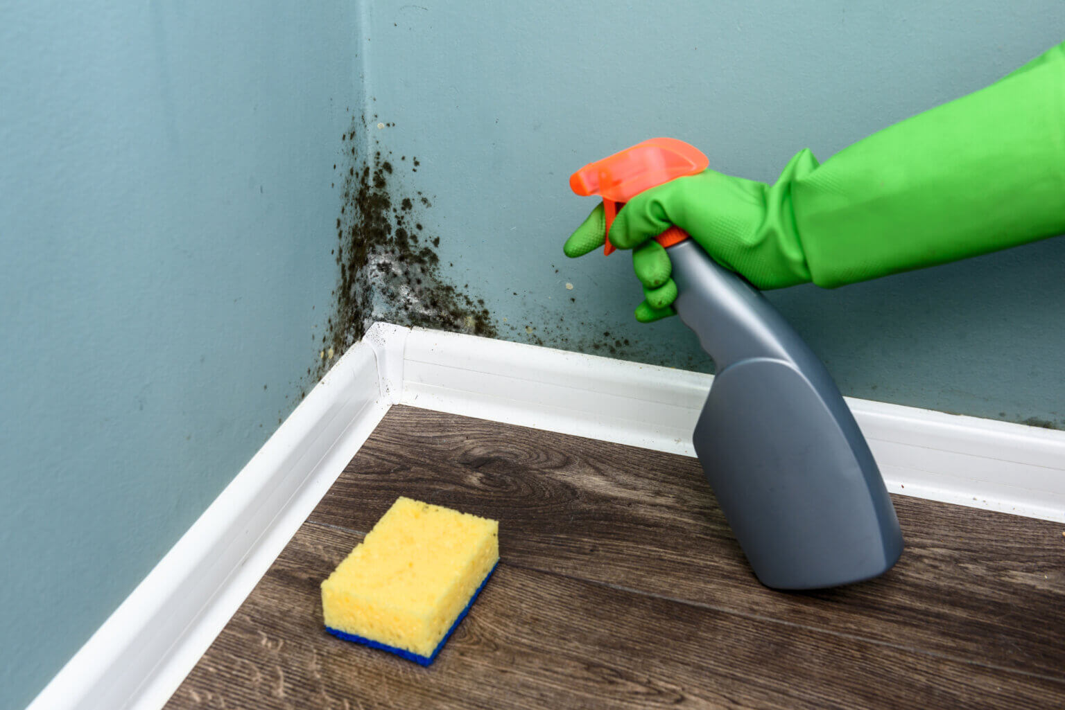 Using Hydrogen Peroxide for Mold Removal | Mold and Mildew